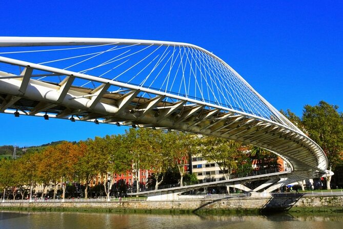 Full-Day Private Bilbao Tour (Guggenheim Museum & Full Pintxo Lunch Included) - Booking Information