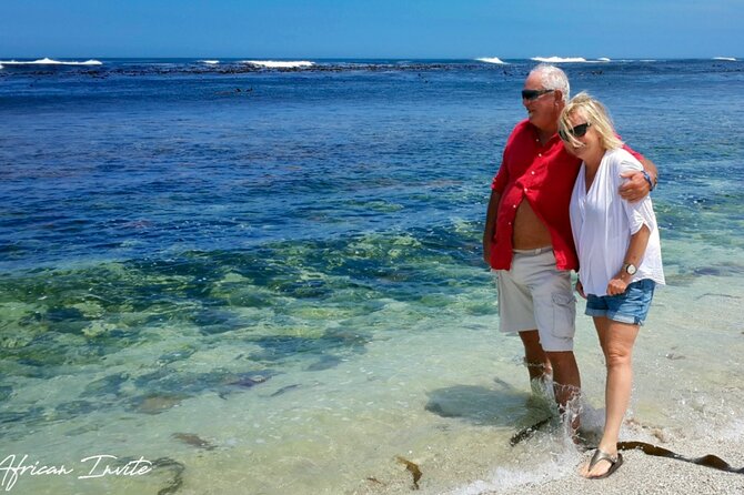 Full-Day Private Cape Peninsula Tour - Tour Details