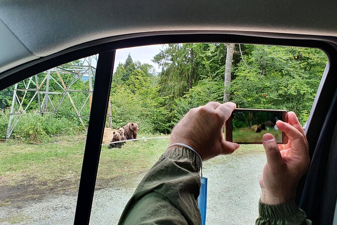 Full-Day Private Carpatian Garden With Draculas Fortress - Wild Brown Bears - Customer Satisfaction