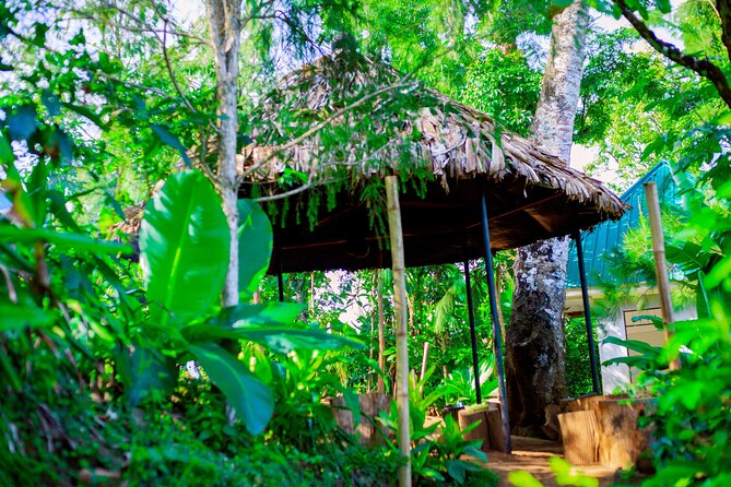Full Day Private Materuni Waterfall and Kikuletwa Hot Spring Tour - Booking Process