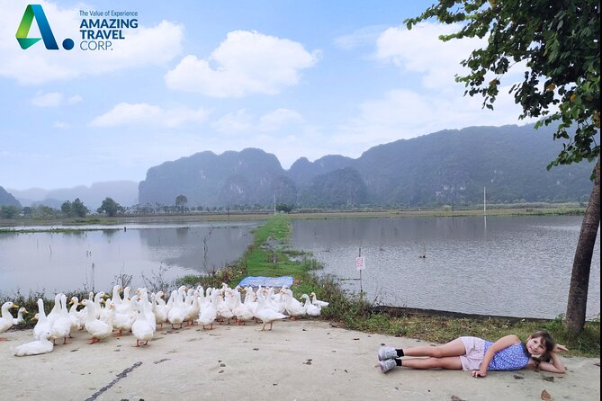 Full Day Private Tour in Ninh Binh(Trang An-Bich Dong-Mua Cave) - Transportation Options