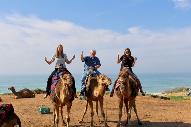 Full Day Private Tour in Tangier - Booking Information