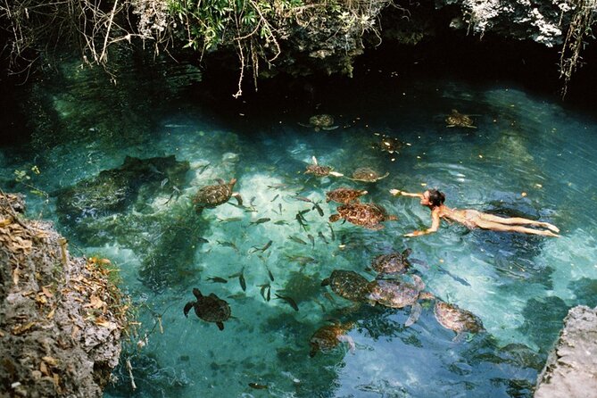 Full-Day Private Tour in Zanzibar With Baraka Aquirium - Customer Reviews