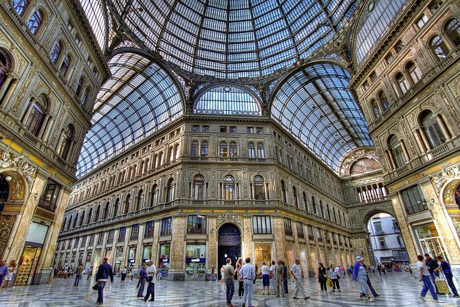 Full Day Private Tour of Naples and Vesuvius - Highlights of the Tour