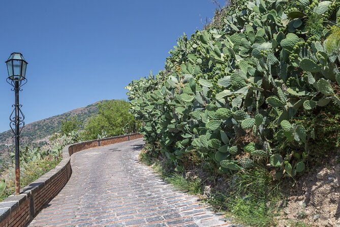 Full-Day Private Tour of Taormina and Savoca From Taormina - Booking Information