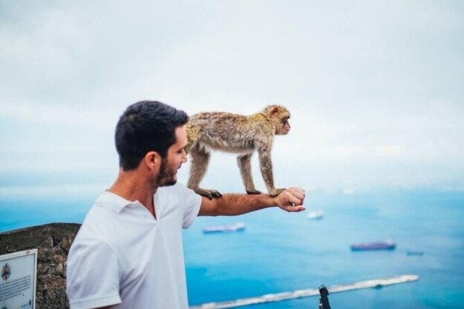 Full Day Private Tour to Gibraltar From Malaga - Tour Feedback and Reviews