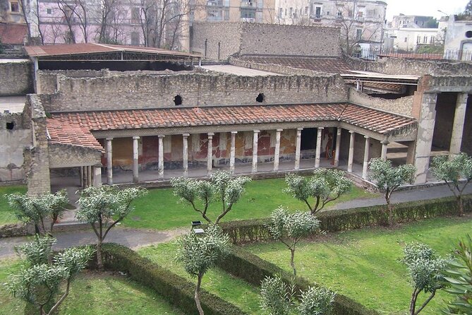 Full Day Private Tour to Pompeii Review - Traveler Feedback