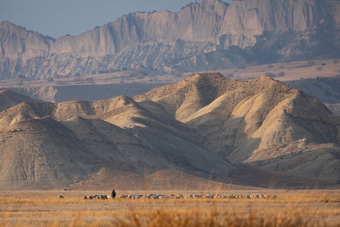 Full-Day Private Wilderness Tour in Vashlovani National Park - Guide Expertise