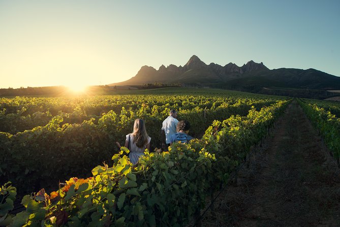 Full Day Private Wine, Choc & Cheese - Pickup and Meeting Points