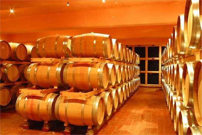 Full-Day Private Wine Tasting Tour - Accessibility Options
