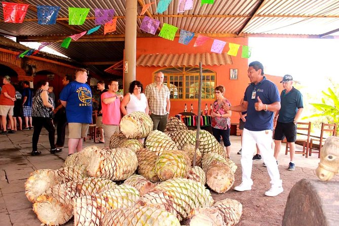 Full-Day Puerto Vallarta City Highlights Tour - Guides and Customer Service