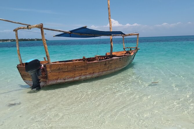 Full-Day Safari Blue Trip in Zanzibar With Lunch Buffet - Feedback and Customer Satisfaction