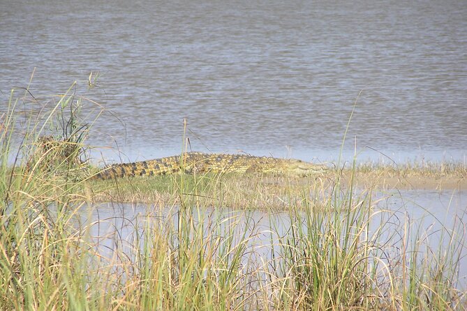 Full-Day Safari in Maputo National Park - Included Amenities and Services