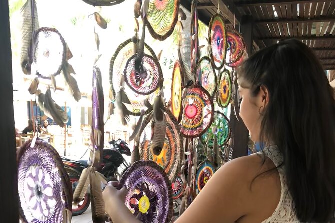 Full-Day Sayulita and San Pancho From Puerto Vallarta - Common Issues and Resolutions