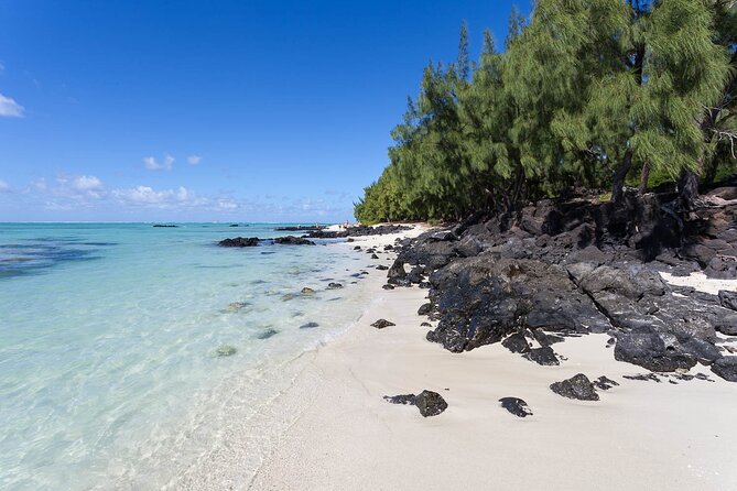 Full Day Shared Tour Catamaran to Ile Aux Cerfs - Traveler Reviews and Feedback