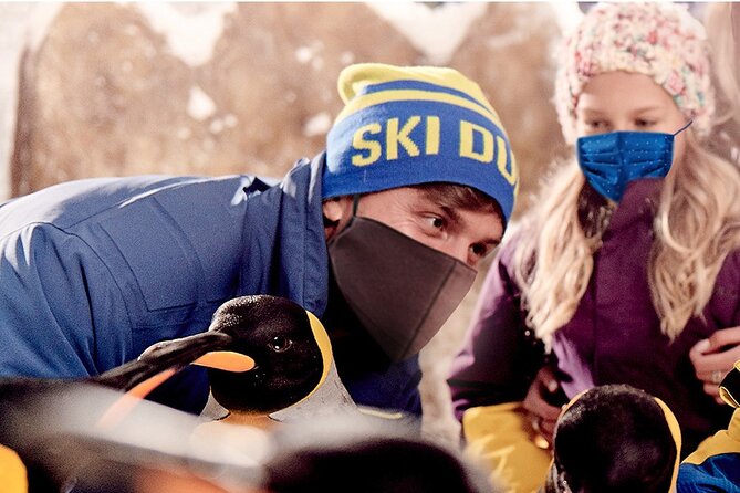 Full-day Snow Ski in Dubai - Accessibility and Participation