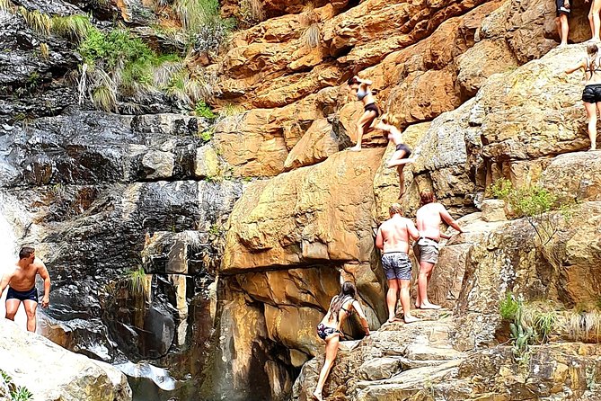 Full-Day Swartberg Mountain PRIVATE Tour (Including Lunch and Transfers) - Wildlife and Flora