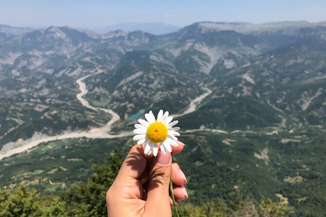 Full Day Tirana City & Dajti National Park, Private Tour - Tour Accessibility and Group Size