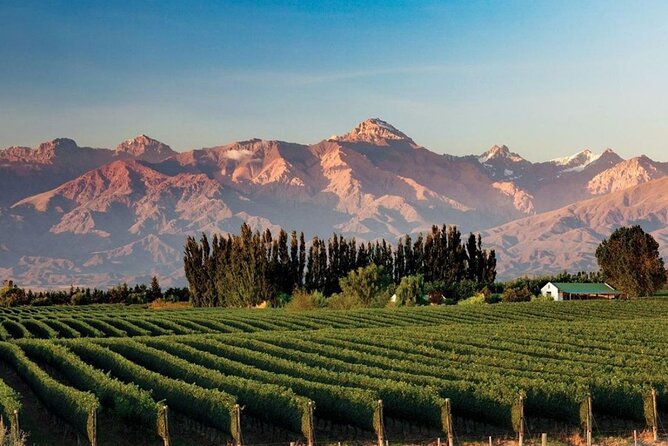 Full Day Tour Mendoza Wineries in the Uco Valley - Winery Experiences