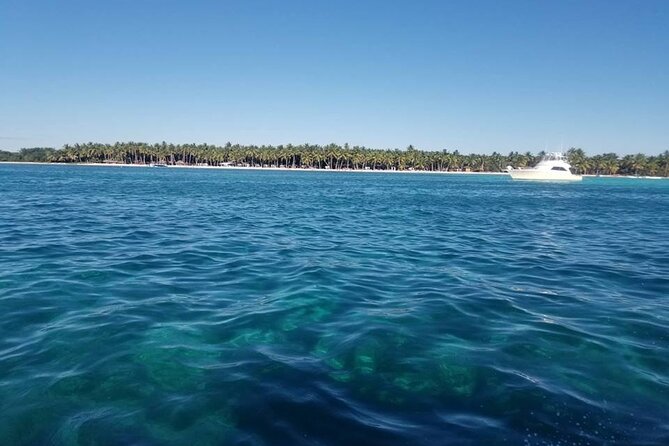 Full Day Tour to Saona Island From Samana - Cancellation Policy