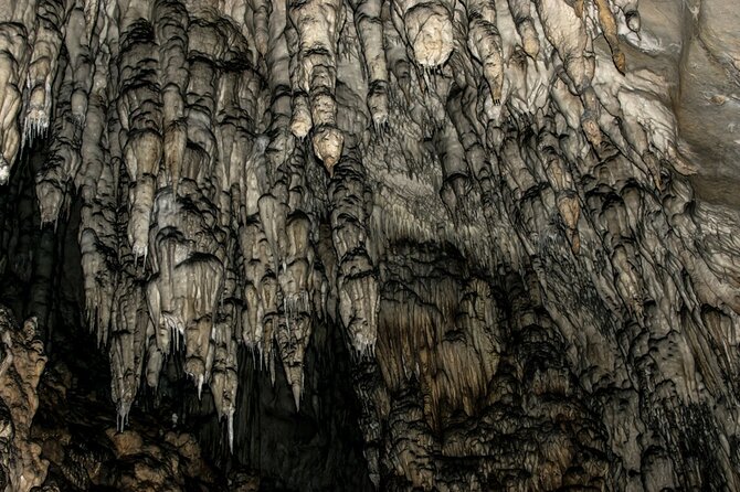 Full Day Trip From Belgrade: Uvac Nature Reserve Tour - Dining and Meal Options