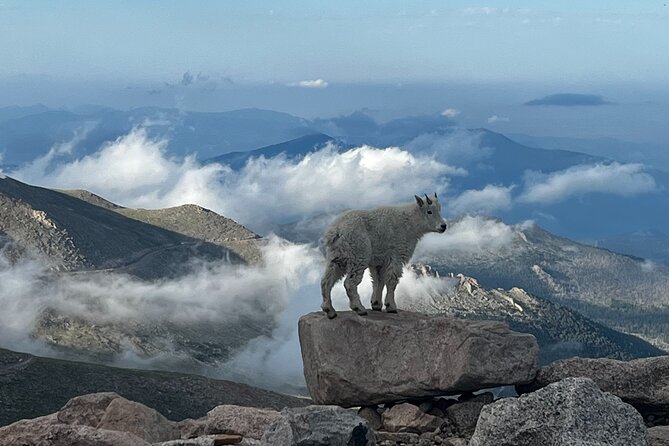 Full-Day Views and Scenic Mount Evans Private Guided Drive Tour - Health and Accessibility