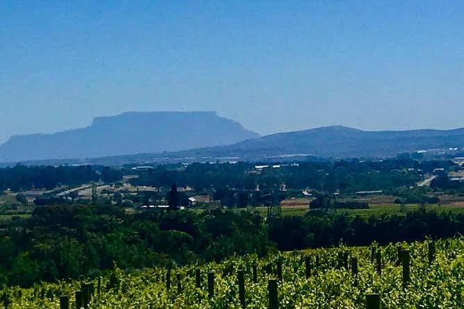Full Day Wine Tour With Lunch And Tastings - Wine Estates Visited