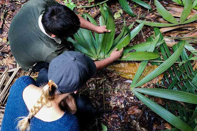 Full Jungle Experience Tour - Daily Itinerary
