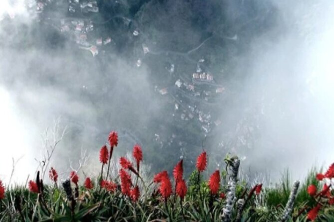 Funchal Shore Excursion:Private Stunning and Scenic Nuns Valley Tour - Operating Schedule