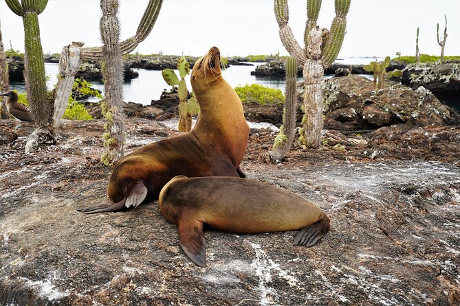 Galapagos Multisport Expedition 8 Days - Frequently Asked Questions