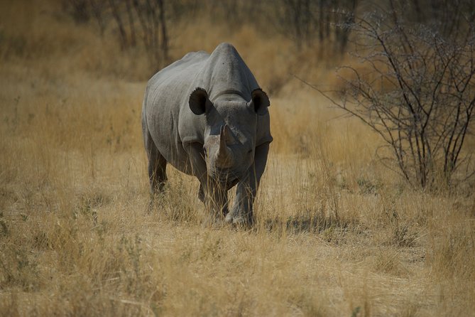 Game Drives - Booking and Cancellation