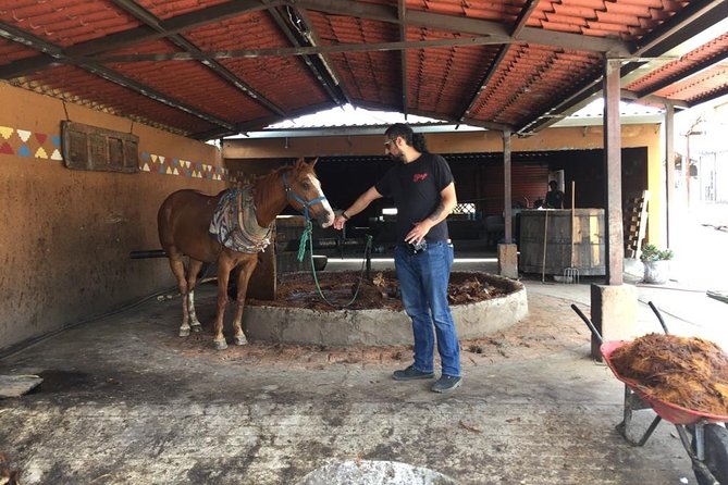 Gastronomy Experience, Culture Mezcal,Tasting & Textiles. Private Tour. - Guest Experiences