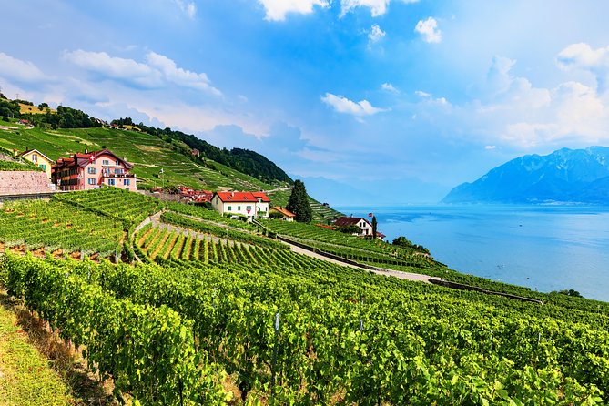 Geneva to Gruyère Private Day Trip. Cheese & Chocolate Tour - What to Expect