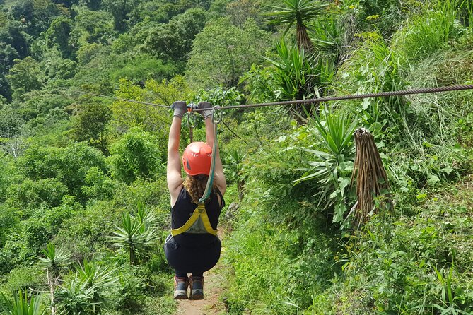 Get Fun With an Adventure Tour - Zip Line (Canopy) - Tour Type and Participant Details