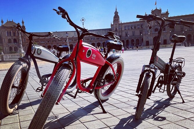 Get to Know Seville Like a Local on an Electric Bicycle - Guide Performance and Knowledge