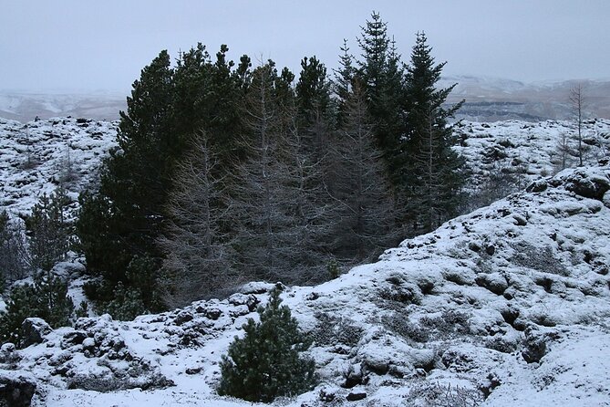 Glaciers and Aurora: Around Iceland in Winter - Glaciers and Waterfalls