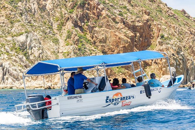 Glass-Bottom Boat Cruise in Cabo San Lucas - Guest Experiences and Feedback