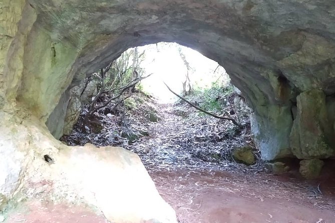 Go Green: Discover the Wonders of Serras De Aire - What to Expect