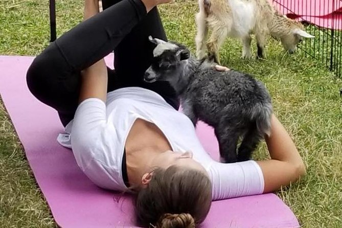 Goat Yoga and Wine Tasting - Accessibility and Participant Restrictions