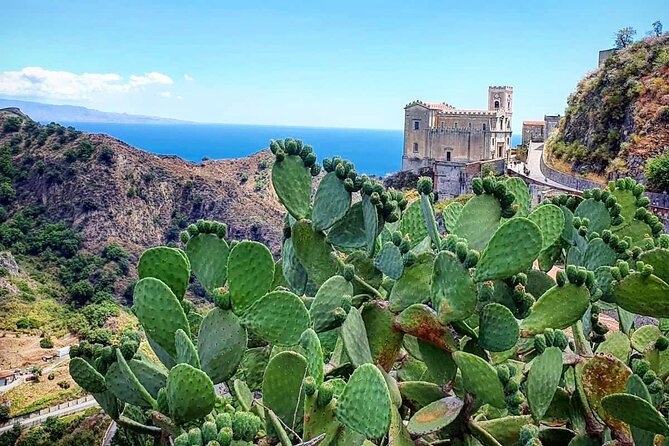 Godfather Tour Possibility Sicilian Food & House Wine Tasting - Featured Reviews