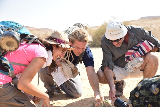 GoKedem 5-Day Private All-Inclusive Cross-Israel Adventure - Pickup and Accessibility