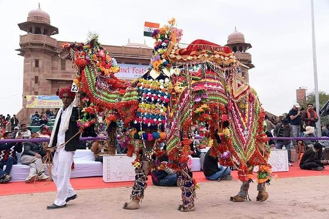 Golden Triangle Tour With Udaipur - Meeting and Pickup Information
