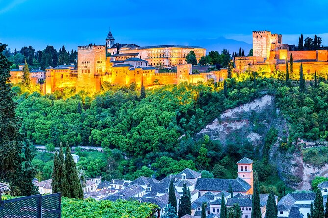 Granada : Private Custom Walking Tour With Guide (Private Tour) - Accessibility and Participation