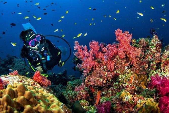 Grand Island Adventure: Diving and Water Sports Thrills - Customer Reviews
