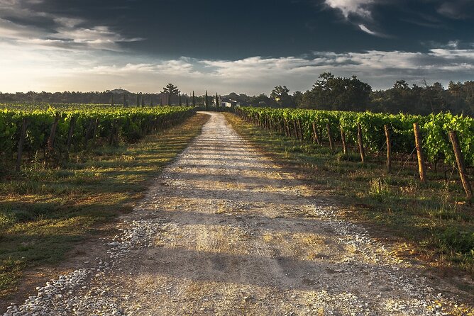 Grand Wine Tour From Catania or Taormina - Scenic Vistas