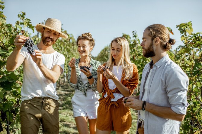 Grape Escapes Wine Full-Day Tour in Ithaca - Review Summary