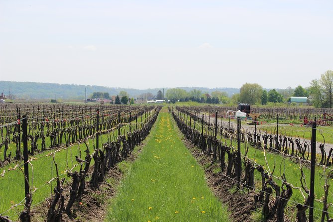 Grape to Glass Wine Experience - Accessibility and Transportation Options