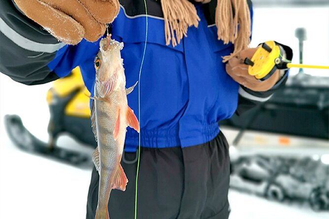 Great Ice Fishing Experience in Lapland - Booking and Cancellation Policy