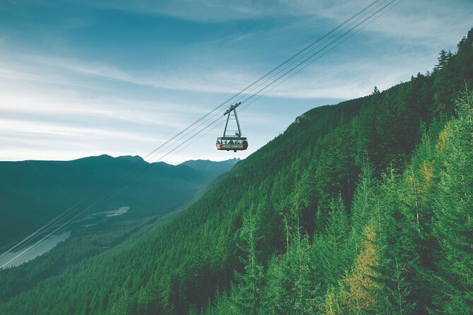 Grouse Mountain Admission Ticket - Visitor Experiences