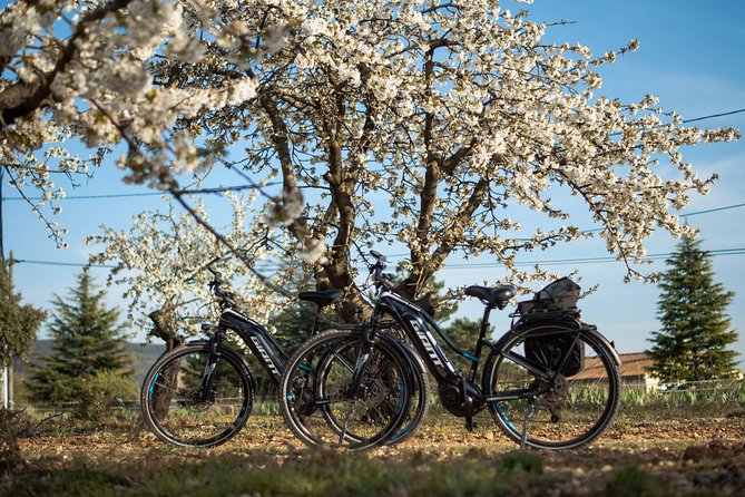 Guided Discovery of Ocher - 1/2 Day - Electric Bike - Participant Health and Safety